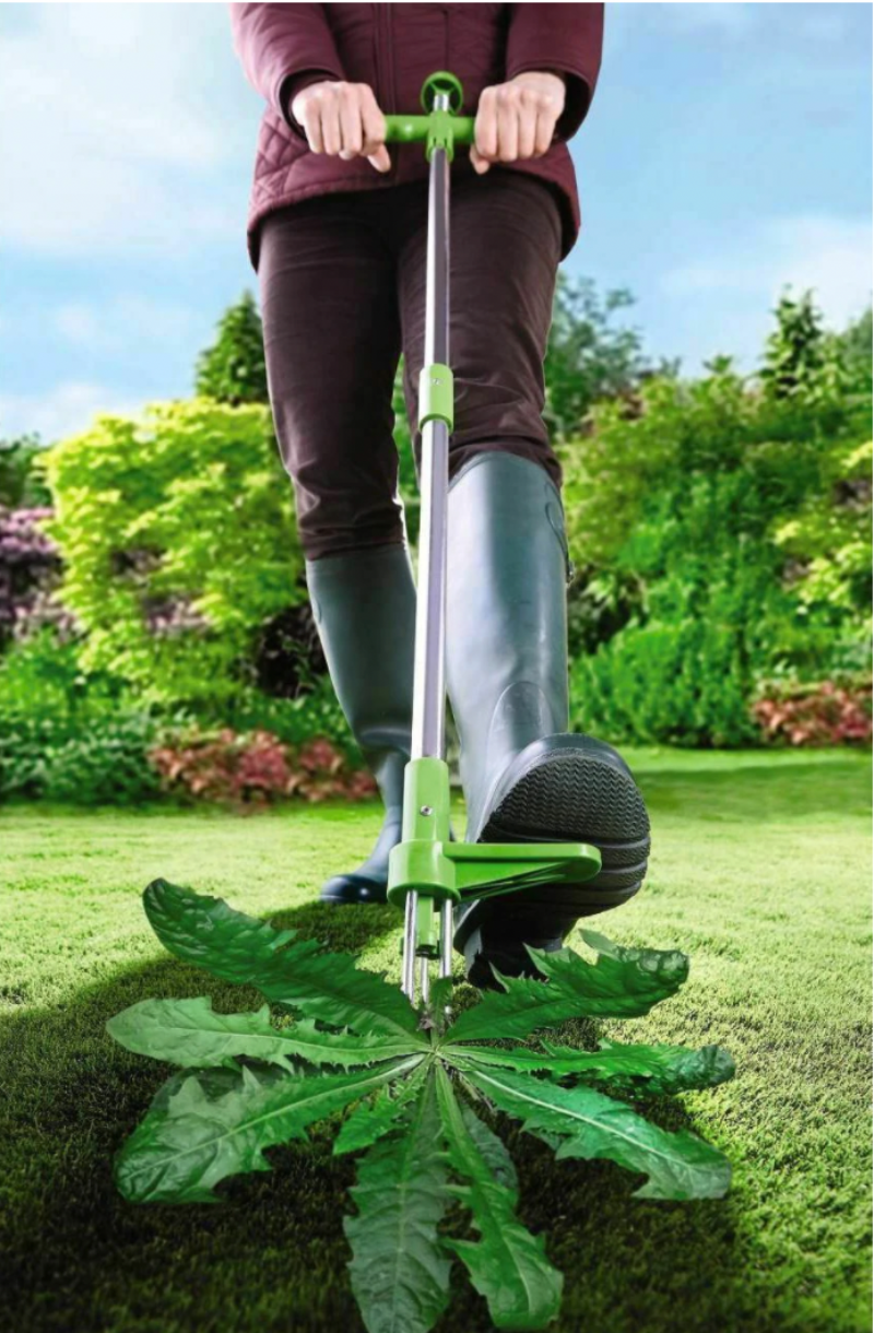 Unkrautstecher - Gartengraswurzelentferner