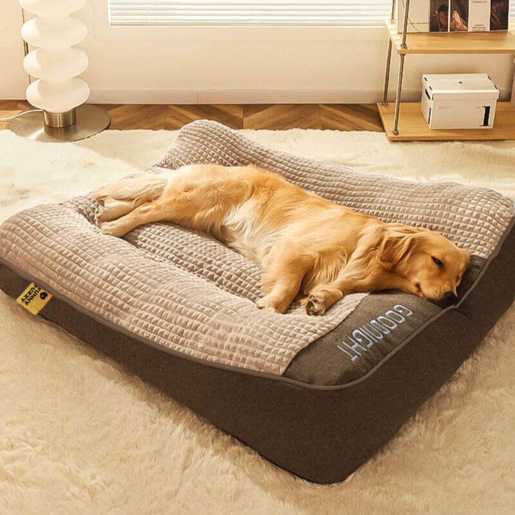 Orthopädisches Hundekissenbett